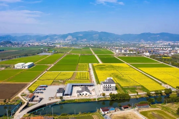 高標(biāo)準(zhǔn)農(nóng)田典型案例集錦丨“豐景”，在希望的田野