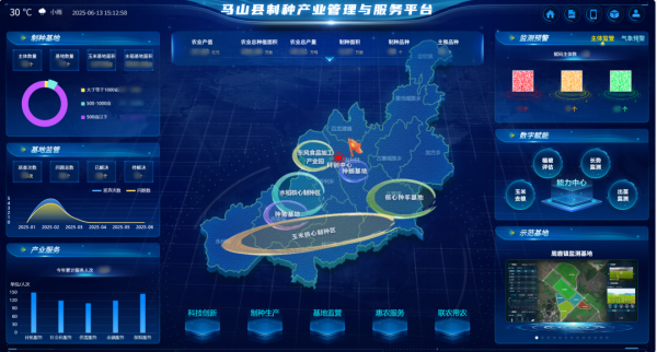 AI+農(nóng)業(yè) | 當(dāng)種子植入“數(shù)智芯片”，馬山縣打造制種基地新標(biāo)桿